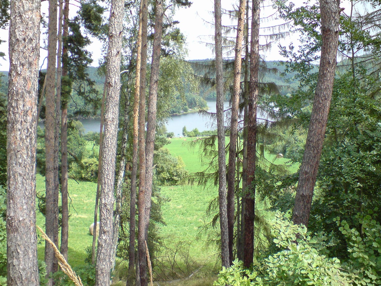 dsc03875