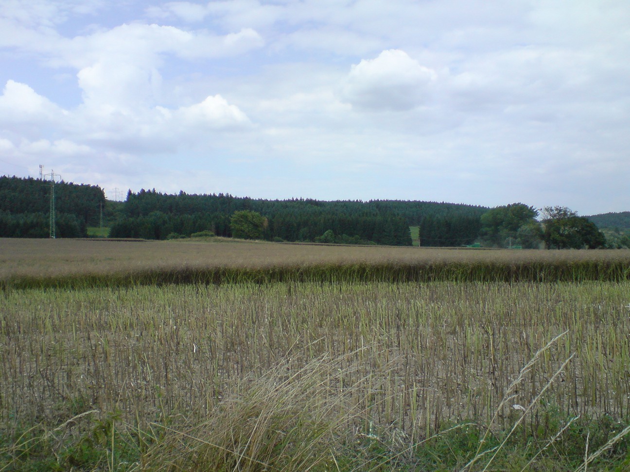 dsc03887